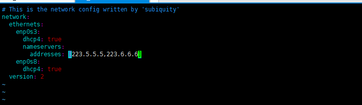 Ubuntu持久化设置DNS